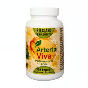 Arteria Viva