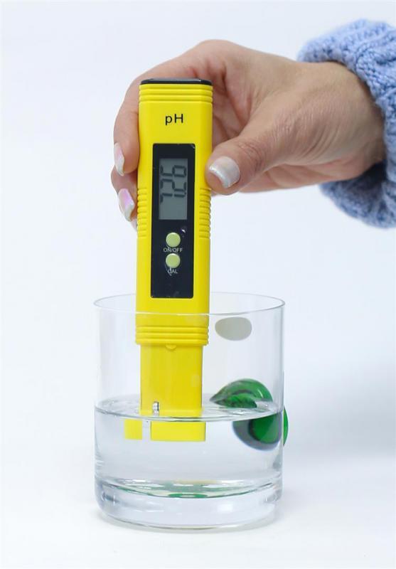 pH meter