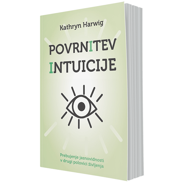 Povrnitev intuicije (e-knjiga)