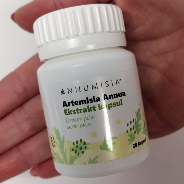 Enoletni pelin – Artemisia Annua (30 kapsul)