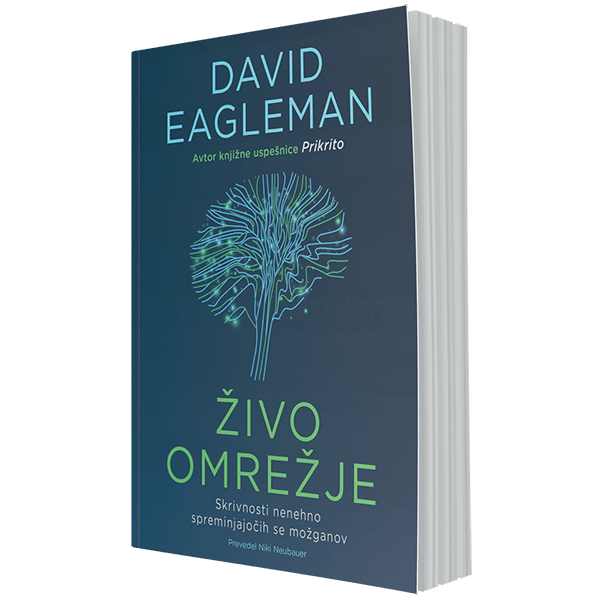 Živo omrežje – skrivnosti nenehno spreminjajočih se možganov